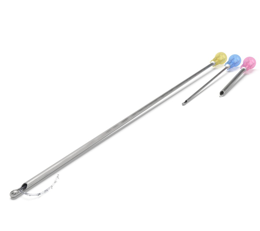 Excellence Visage 2 (EV2)